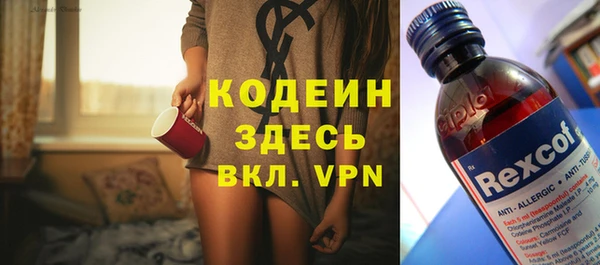 амф Новозыбков