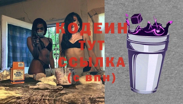 стаф Новодвинск