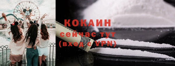амф Новозыбков