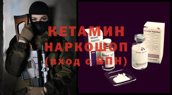 стаф Новодвинск
