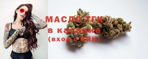 амф Новозыбков