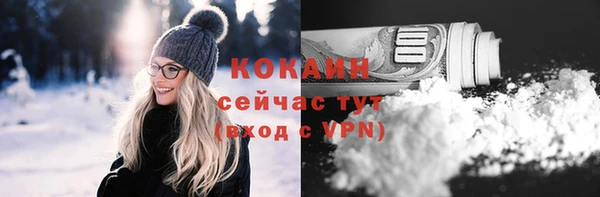 стаф Новодвинск