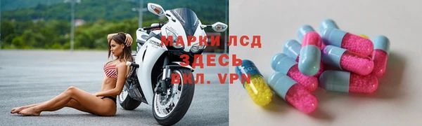 стаф Новодвинск