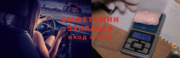 амф Новозыбков