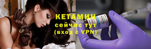 стаф Новодвинск
