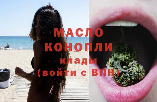 стаф Новодвинск