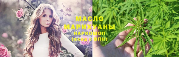 амф Новозыбков