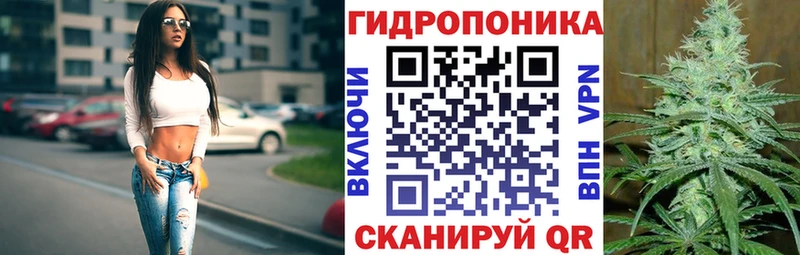 Конопля индика  где купить   Тарко-Сале 